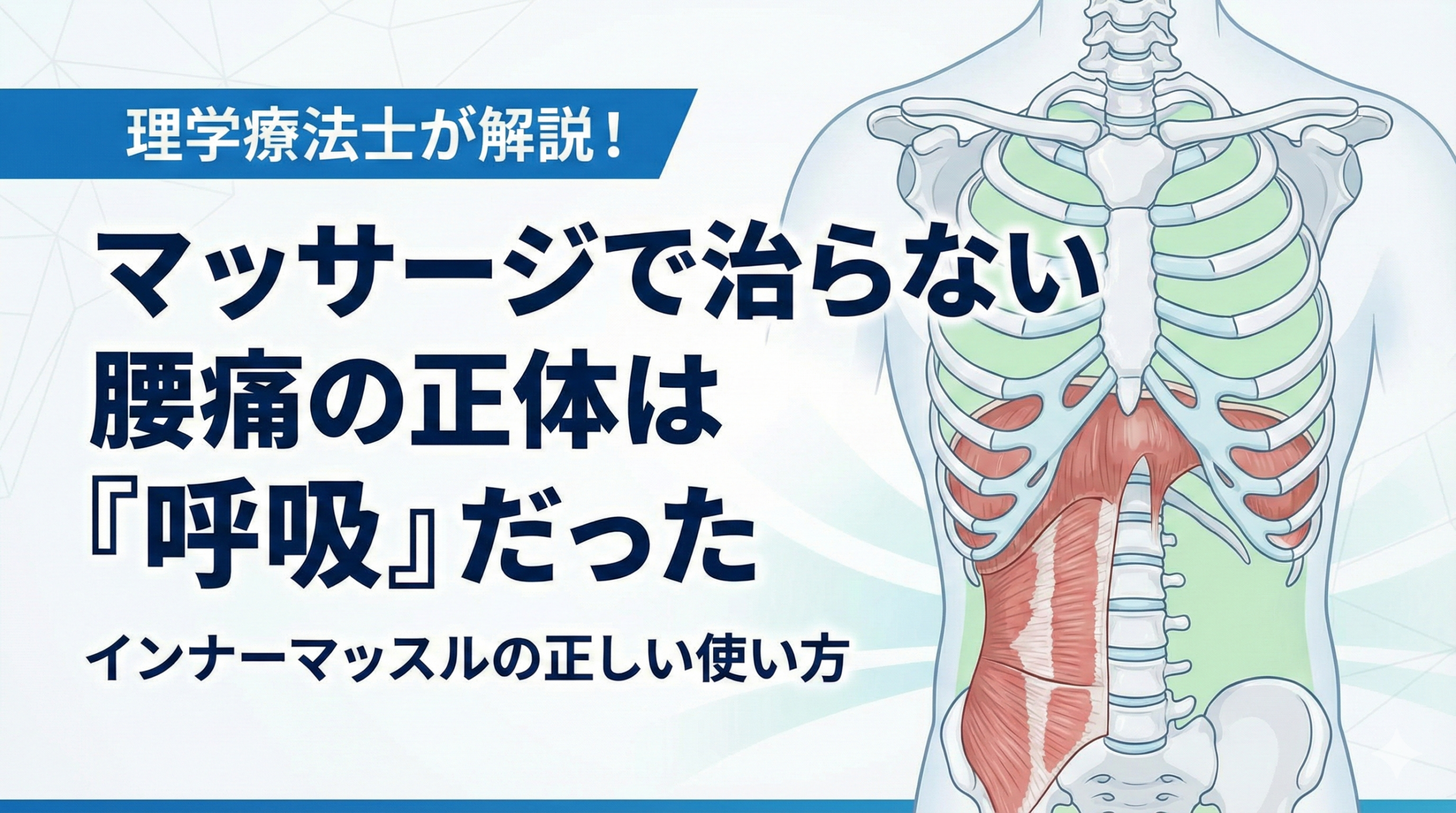 オリンピアンも語る「体幹」の本当の使い方。慢性的な不調から抜け出すヒント【浜松市のカラダリメイク整体】