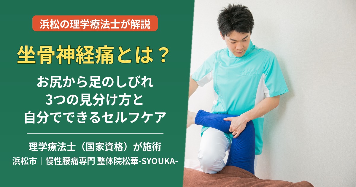 坐骨神経痛とは？お尻から足のしびれの見分け方とセルフケア｜浜松の理学療法士が解説